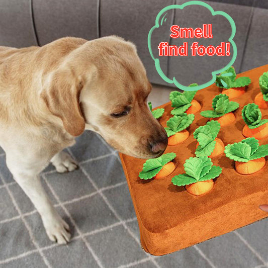 Carrot Plush Snuffle Mat & Chew Toy for Dogs