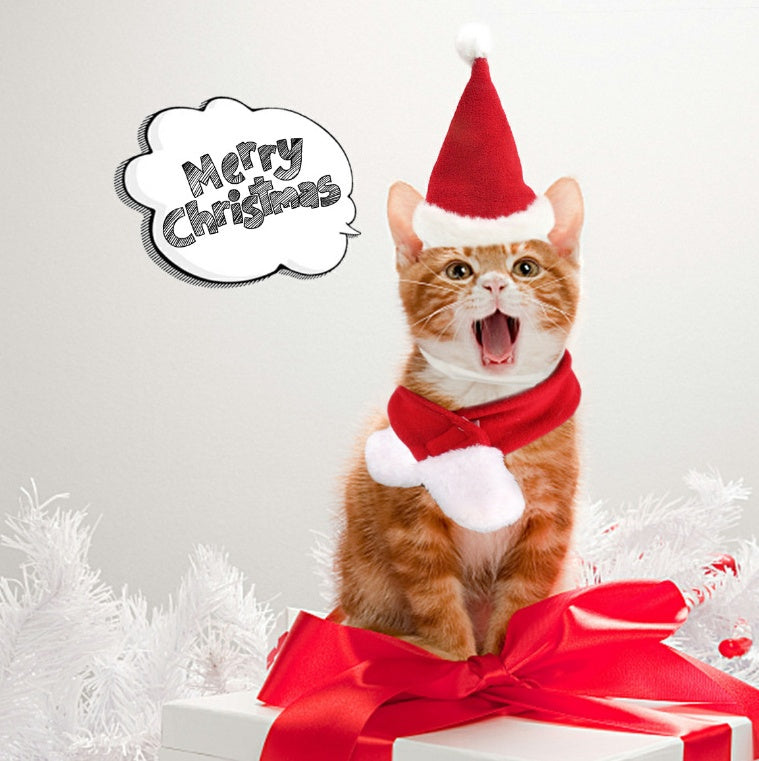 Christmas Hat & Scarf Set for Cats & Dogs
