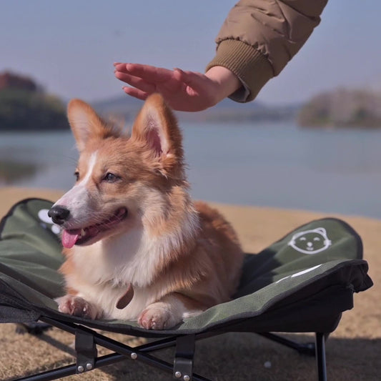 Outdoor Foldable Pet Bed