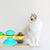 Rotating Windmill Scratch & Teeth Cleaning Toy for Cats