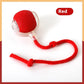 Super Drive Interactive Rolling Ball Toy for Cats