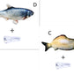 Electric Jumping Fish Simulation Toy for Cats