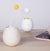 Interactive Wand Teaser Toy for Cats