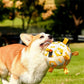 Outdoor Soccer Training Chew Ball for Dogs