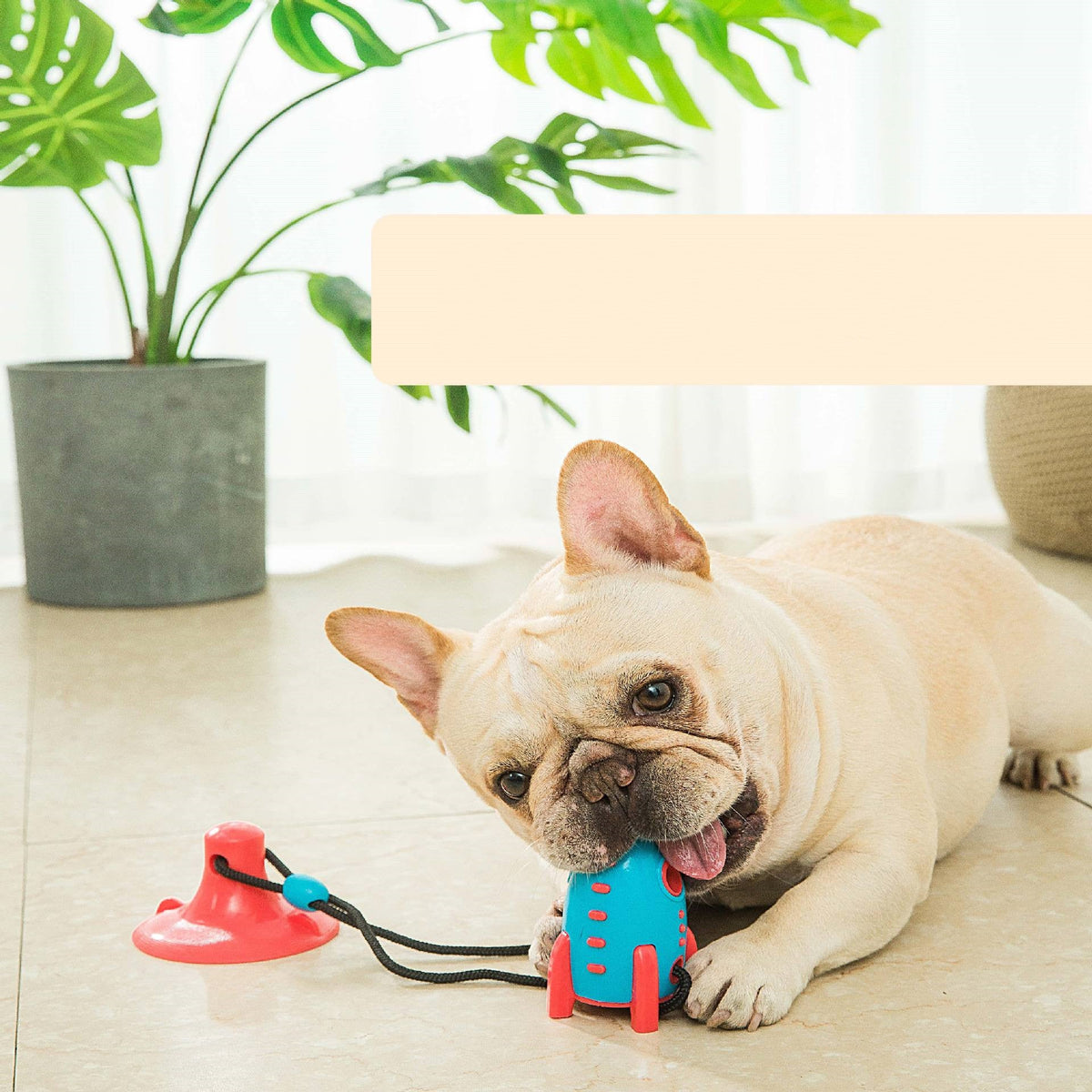 Rocket Treat-Dispensing Chew Toy for Dogs (Large)
