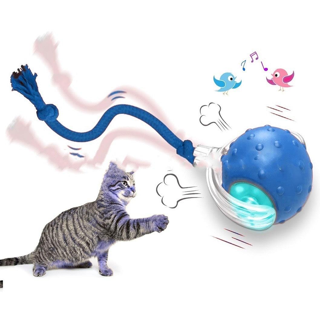 Super Drive Interactive Rolling Ball Toy for Cats