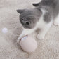 Interactive Wand Teaser Toy for Cats