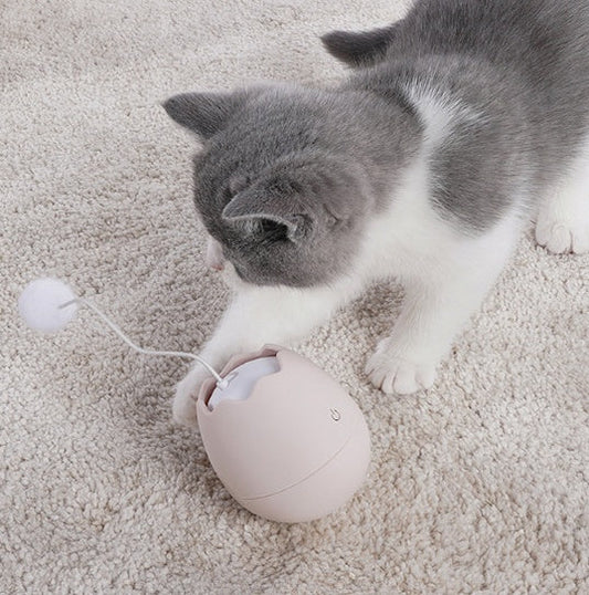 Interactive Wand Teaser Toy for Cats