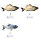 Electric Jumping Fish Simulation Toy for Cats