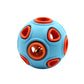 Light-Up Squeaky Ball Toy for Dogs