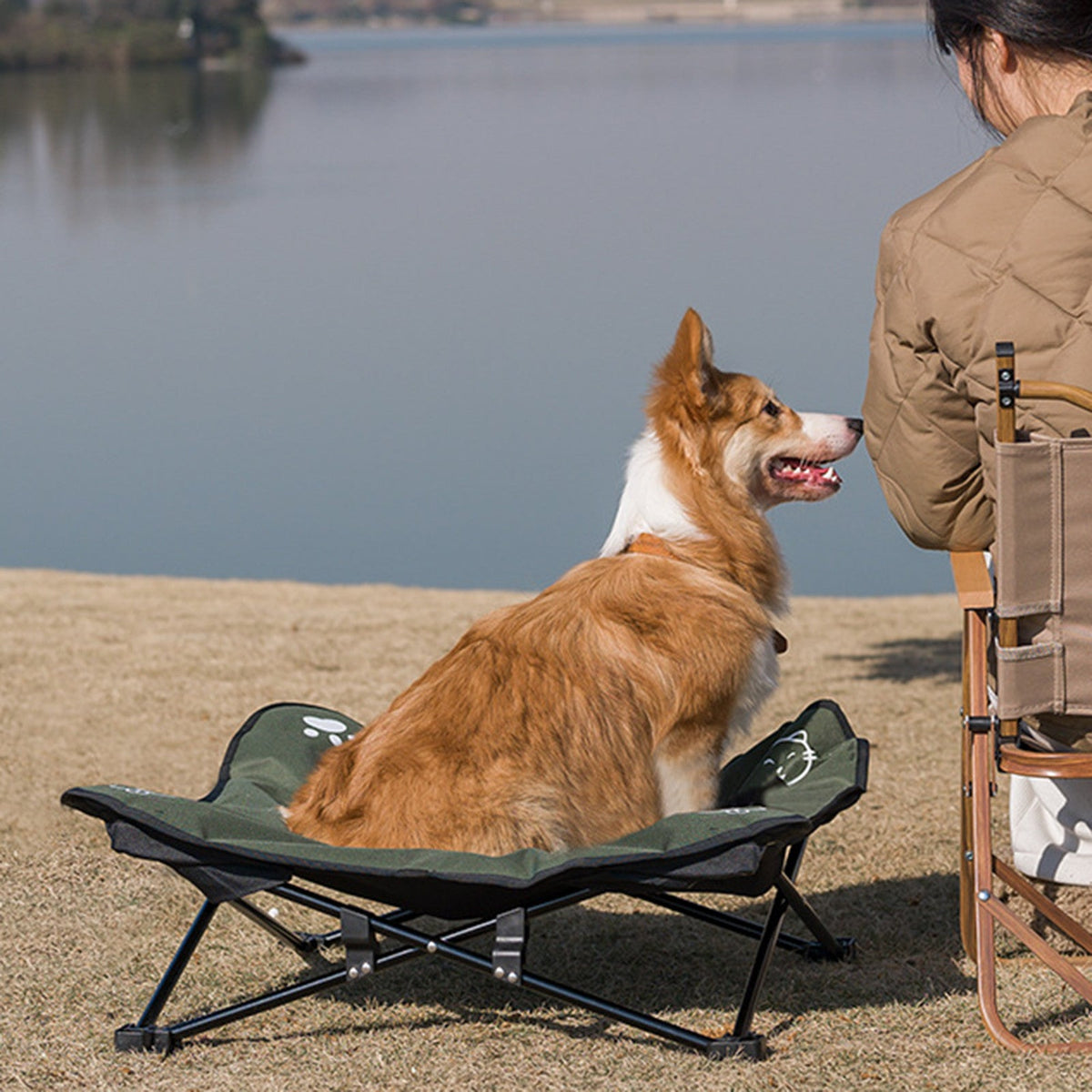 Outdoor Foldable Pet Bed