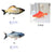 Electric Jumping Fish Simulation Toy for Cats