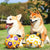 Outdoor Soccer Training Chew Ball for Dogs