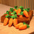 Carrot Plush Snuffle Mat & Chew Toy for Dogs