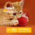 Super Drive Interactive Rolling Ball Toy for Cats