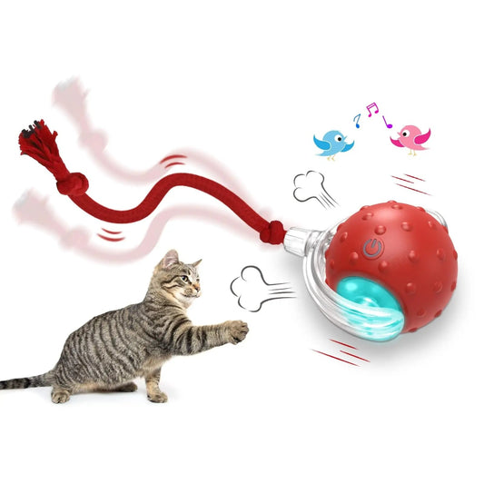 Super Drive Interactive Rolling Ball Toy for Cats